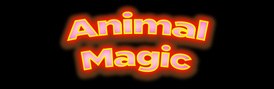 Send us videos of your pets and other animals.