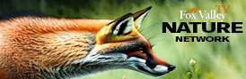 We LOVE Nature, especially in the Fox Valley! Send us your nature videos!